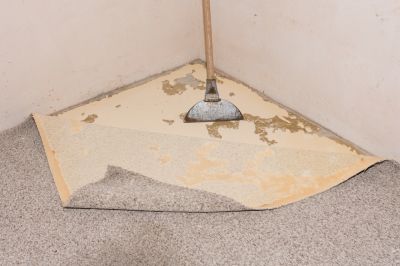 Reduces mold and odors