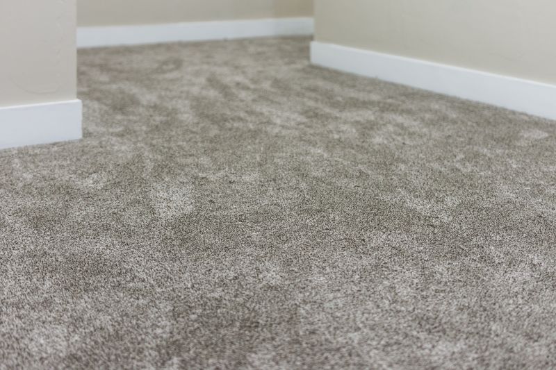 Carpet Removal in Spring